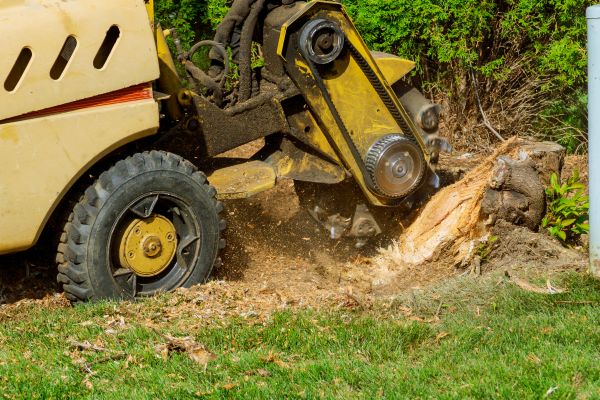Root Control
