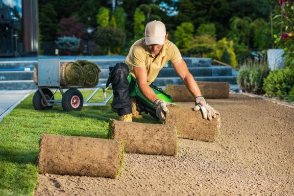 Backyard Grass Installation