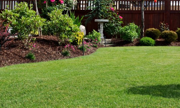 Backyard Lawn Installation