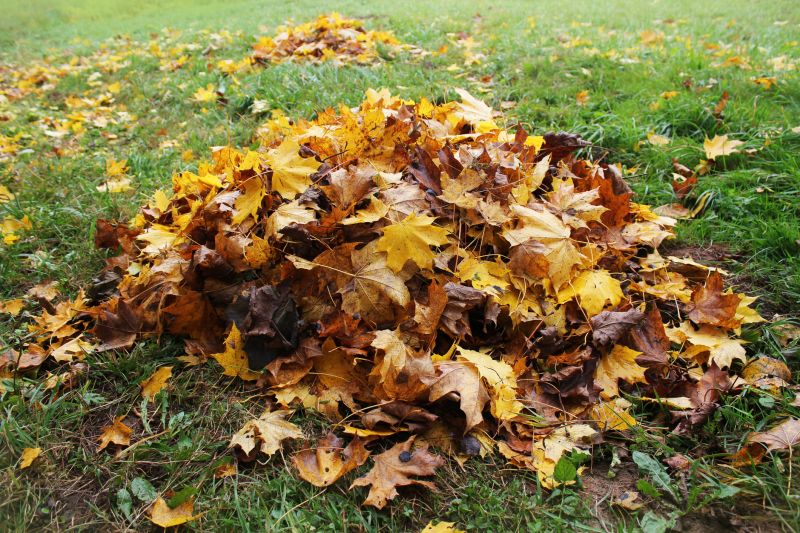 Autumn Leaf Pile