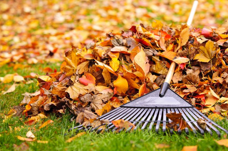Tools for Fall Lawn Care