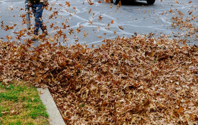 Leaf Removal Benefits