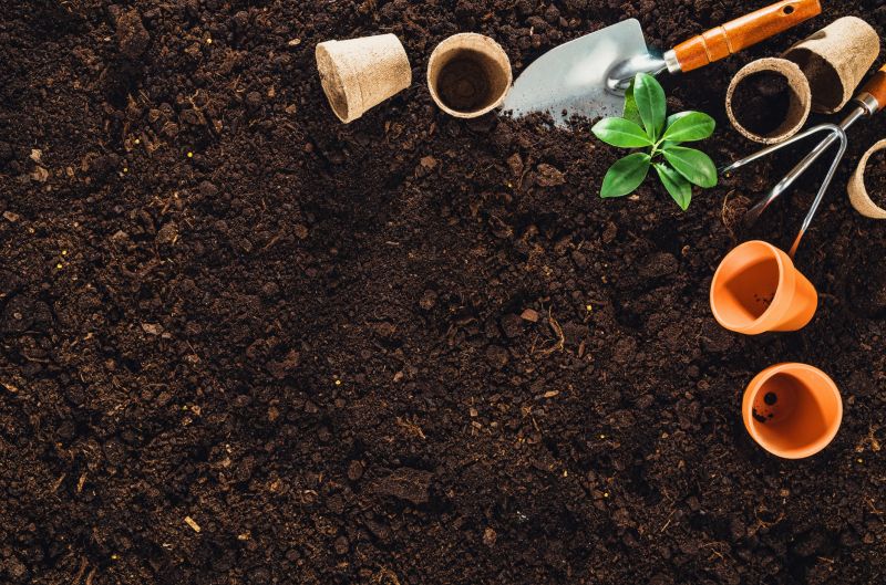 Root Barrier Installation in Spring