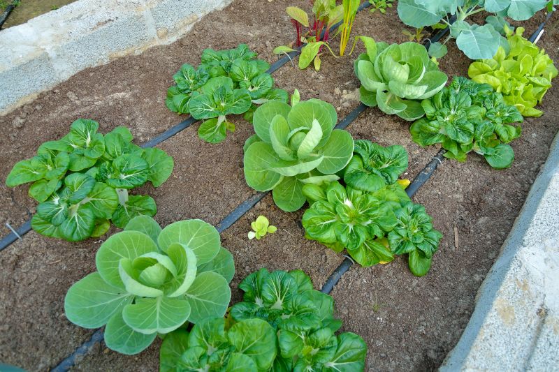 Underground Root Barrier System