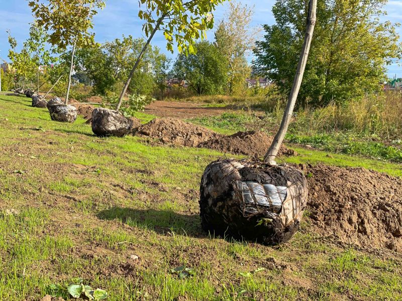 Root Barrier Installation
